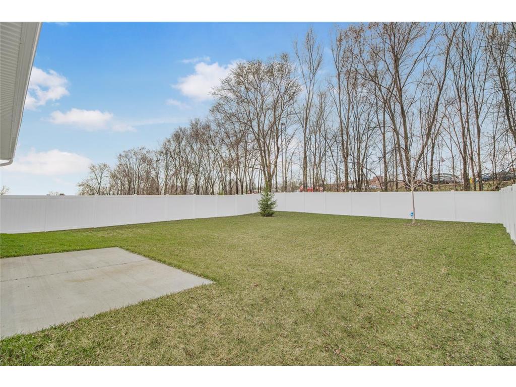 6676 Pine Arbor Boulevard S Cottage Grove MN 55016 7054503 image25