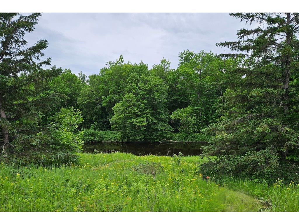 6690 E County Road 5, Northome, MN, 56627 MLS 6558798 Edina Realty