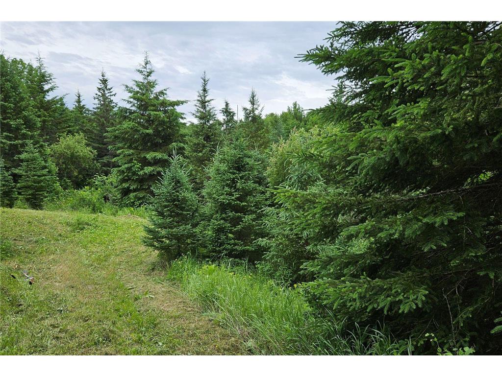 6690 E County Road 5, Northome, MN, 56627 MLS 6558798 Edina Realty