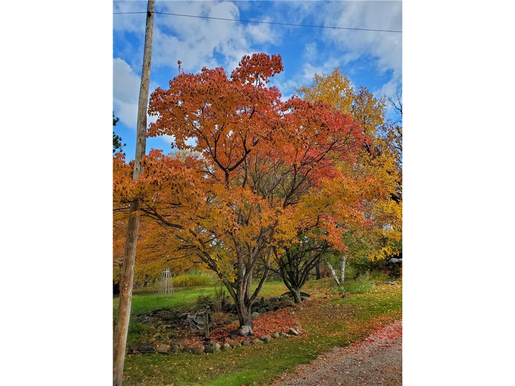 6693 County 38 NW Walker MN 56484 7045307 image19
