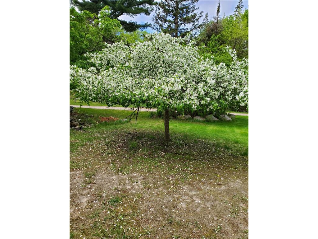 6693 County 38 NW Walker MN 56484 7045307 image22