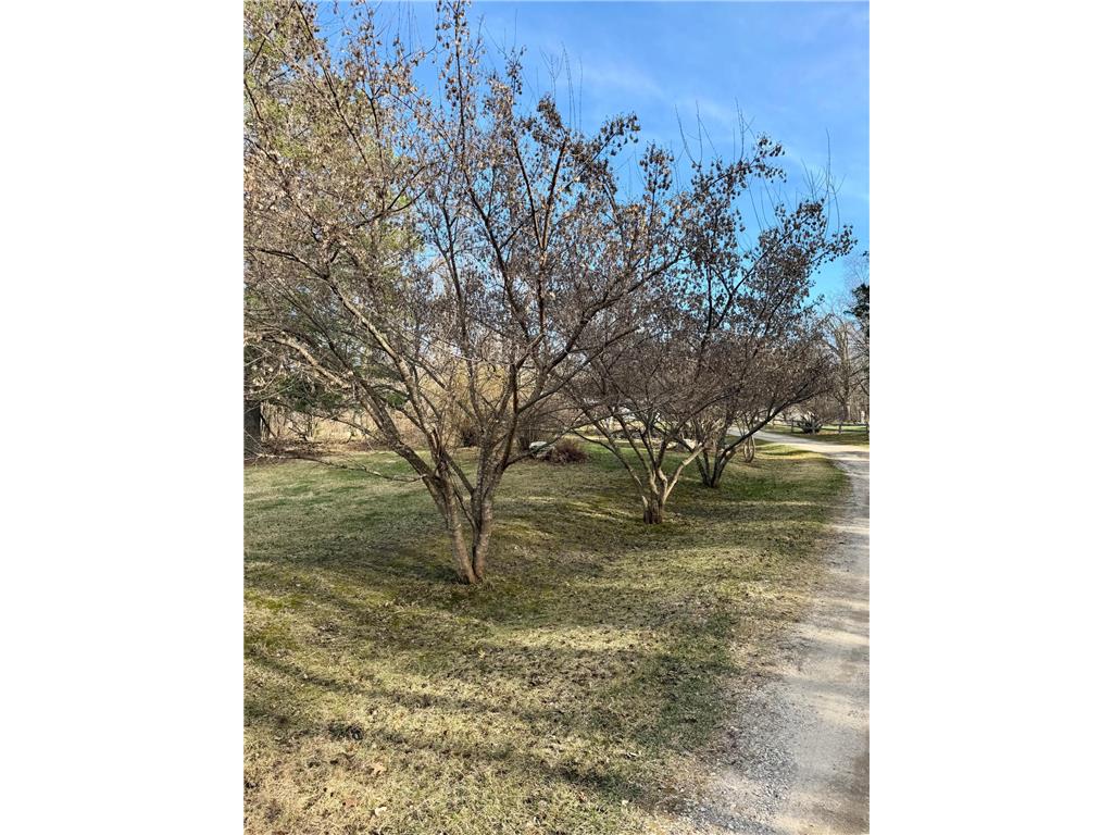 6693 County 38 NW Walker MN 56484 7045307 image84