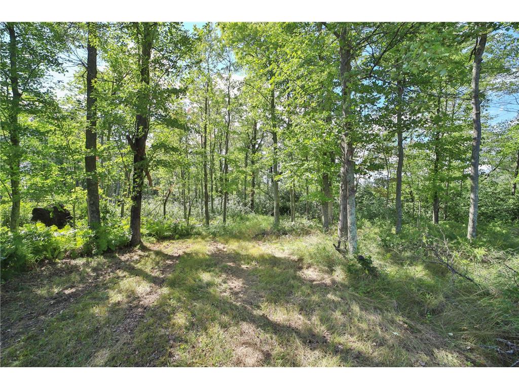 6699 Gould Gray Road Brainerd MN 56401 - Mud Lake 6777411 image10