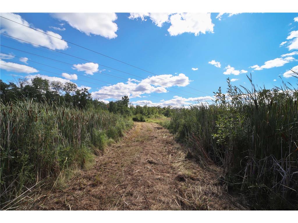 6699 Gould Gray Road Brainerd MN 56401 - Mud Lake 6777411 image2