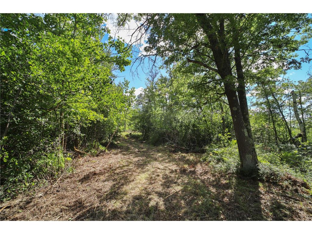 6699 Gould Gray Road Brainerd MN 56401 - Mud Lake 6777411 image5