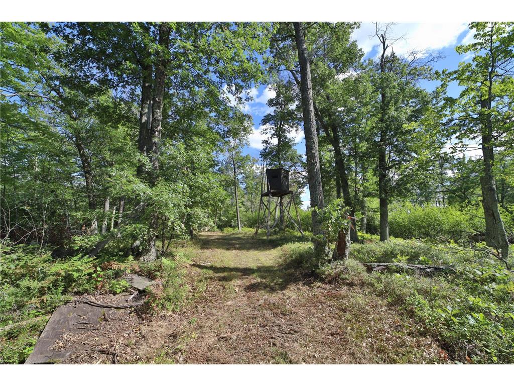 6699 Gould Gray Road Brainerd MN 56401 - Mud Lake 6777411 image6