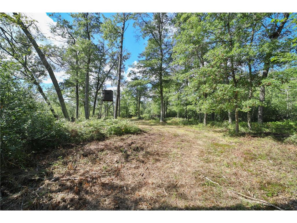 6699 Gould Gray Road Brainerd MN 56401 - Mud Lake 6777411 image9