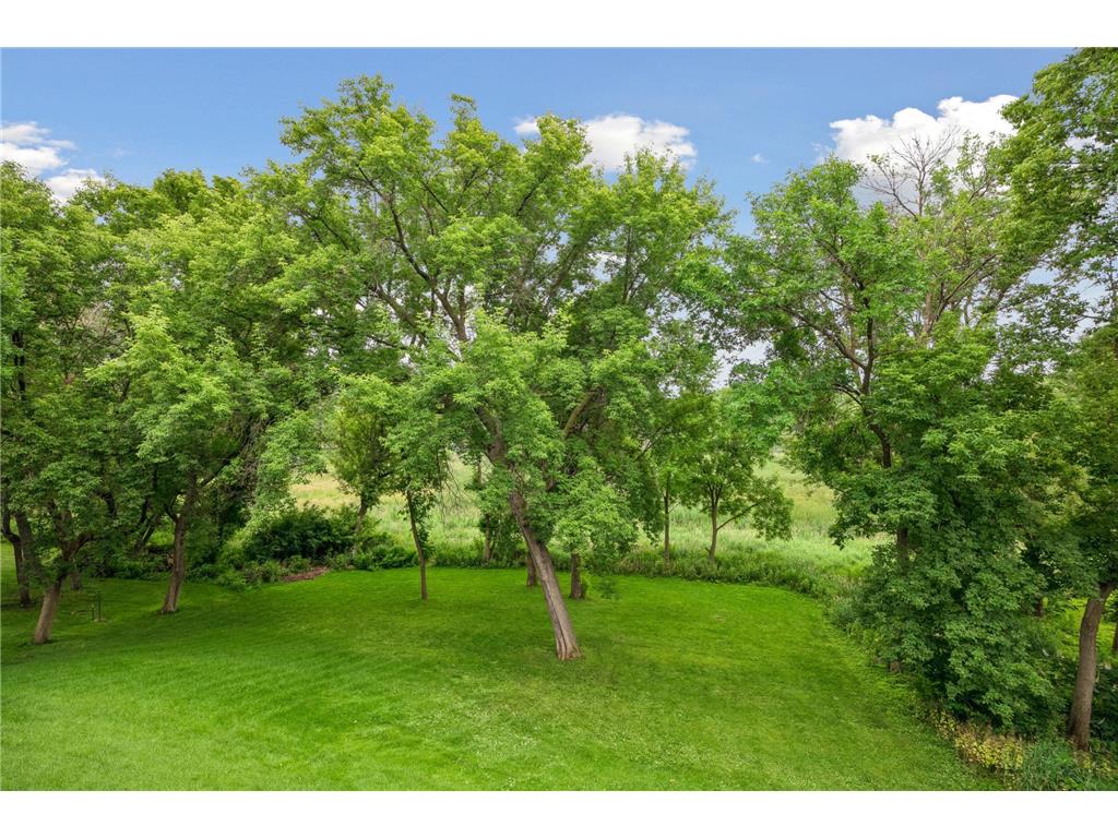 6699 Mulberry Circle E Chanhassen MN 55317 7101795 image10