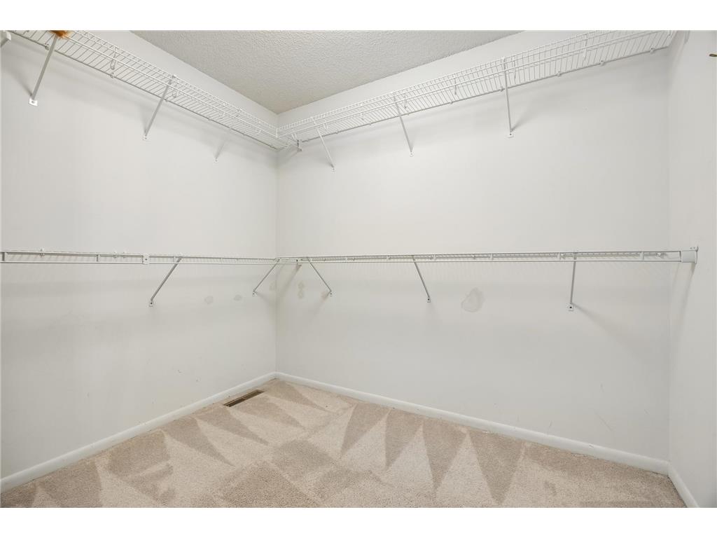6699 Mulberry Circle E Chanhassen MN 55317 7101795 image45