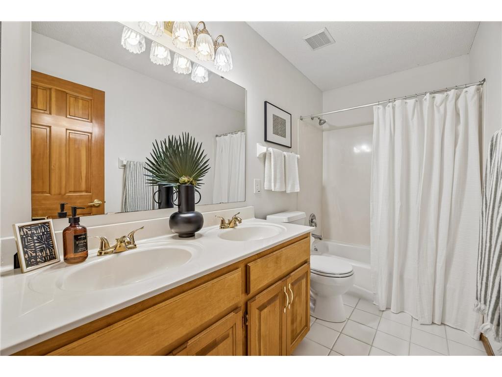 6699 Mulberry Circle E Chanhassen MN 55317 7101795 image52