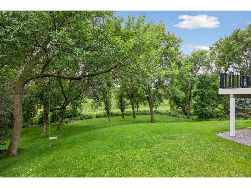 6699 Mulberry Circle E Chanhassen MN 55317 7101795 image72