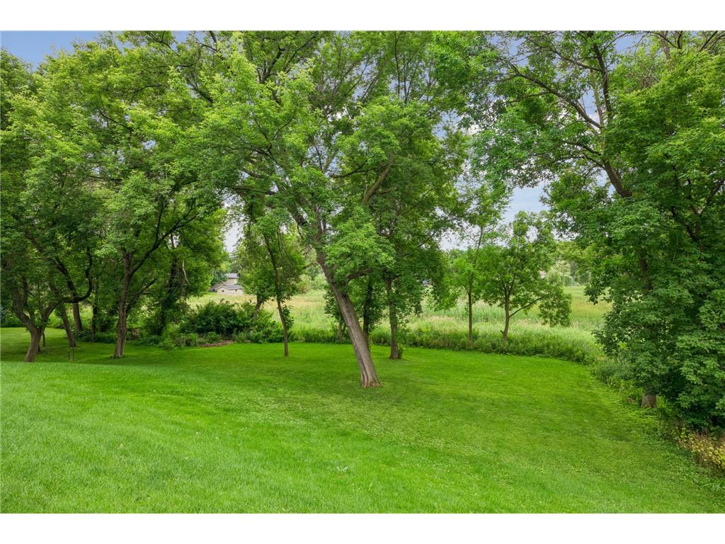 6699 Mulberry Circle E Chanhassen MN 55317 7101795 image73