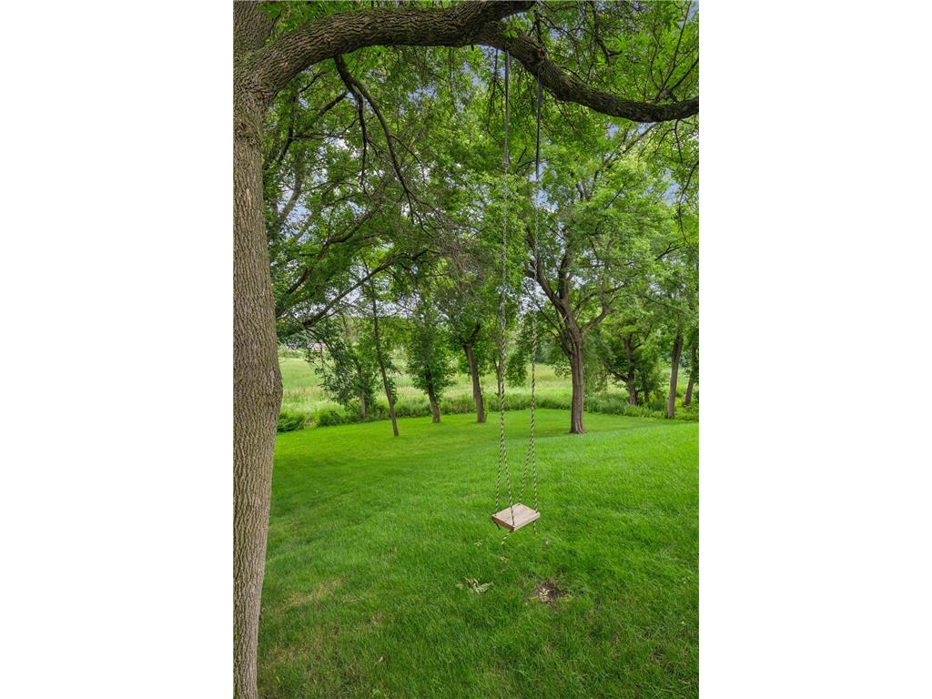 6699 Mulberry Circle E Chanhassen MN 55317 7101795 image9