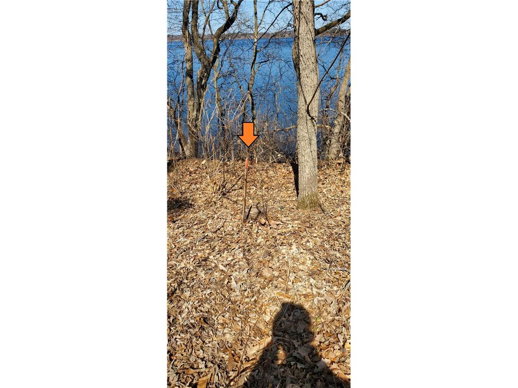 66xx 327th Lane Princeton MN 55371 - Green 6825800 image4