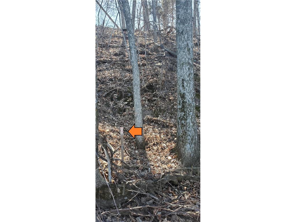 66xx 327th Lane Princeton MN 55371 - Green 6825800 image8