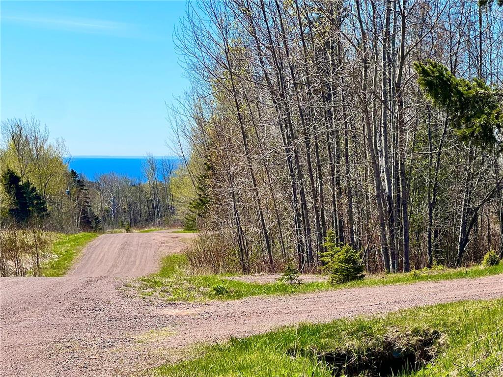 67 Snowshoe Trail Tofte Twp MN 55615 7036783 image3
