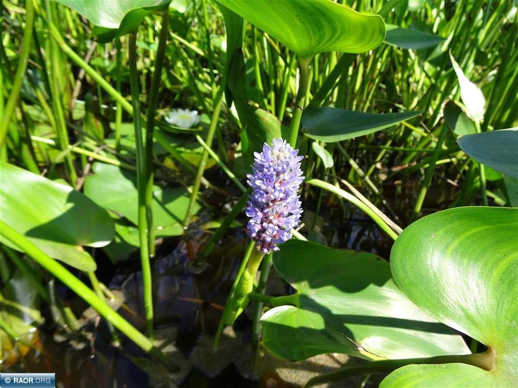 6701 Koski Road Tower MN 55790 - Pike River 6587768 image13