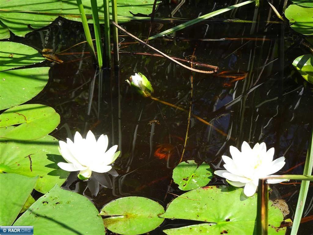 6701 Koski Road Tower MN 55790 - Pike River 6587768 image14