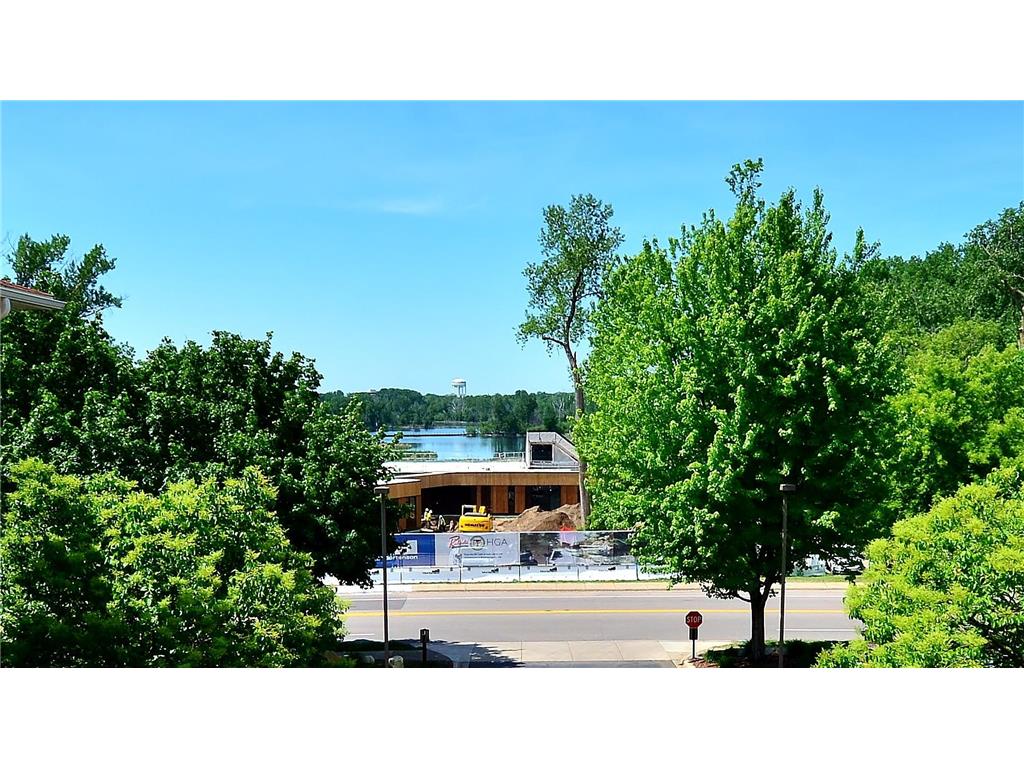 6701 Lake Shore Drive S #101 Richfield MN 55423 - Wood 7040434 image36