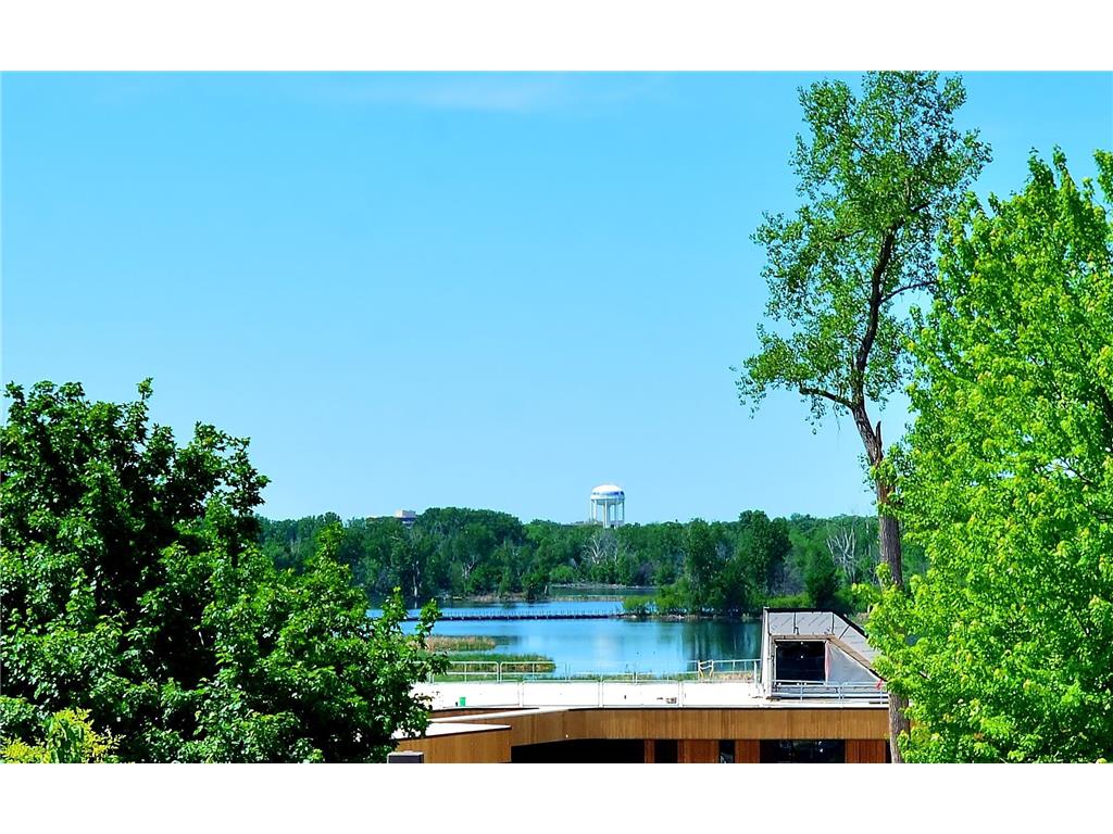 6701 Lake Shore Drive S #101 Richfield MN 55423 - Wood 7040434 image37