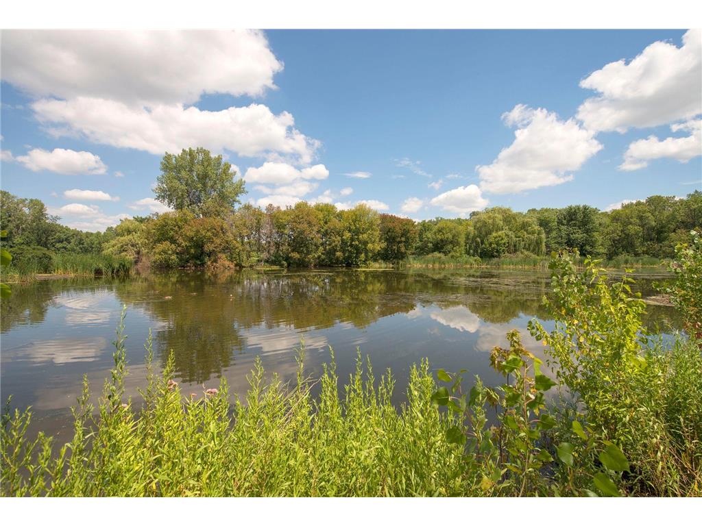 6701 Lake Shore Drive S #101 Richfield MN 55423 - Wood 7040434 image49