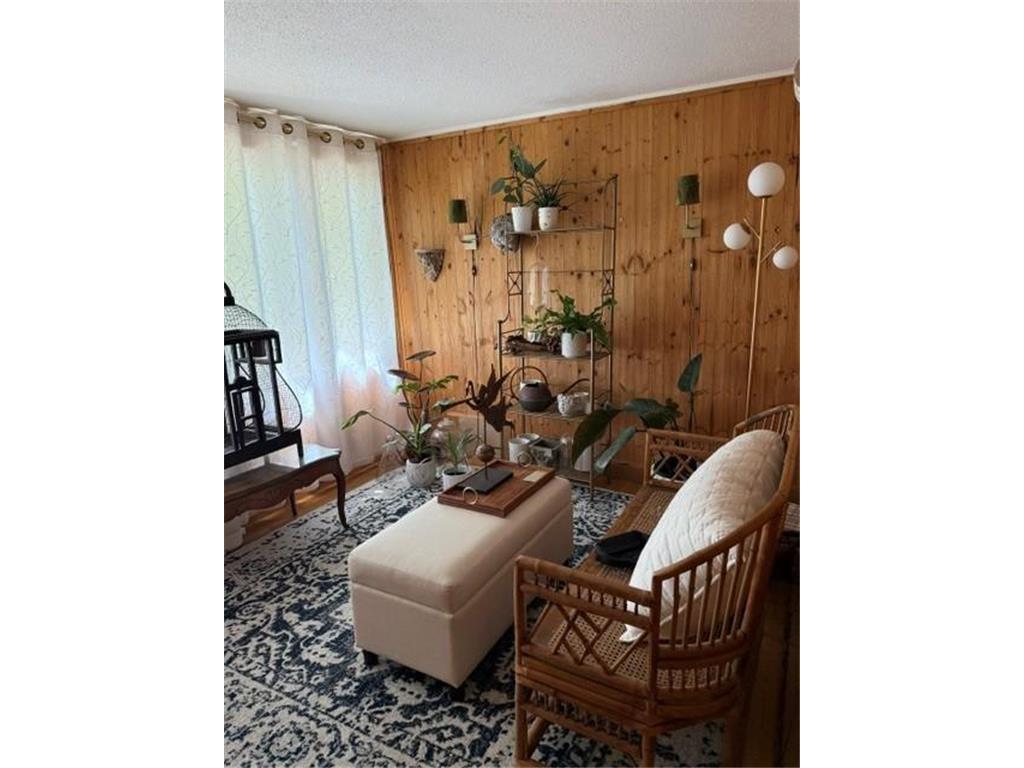 6701 Mohawk Drive Chanhassen MN 55317 - Lotus Lake 7068960 image18
