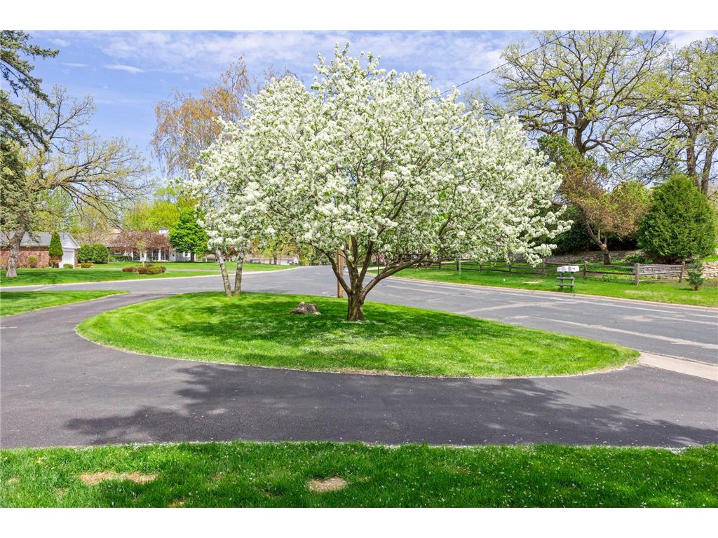 6708 Sally Lane Edina MN 55439 7086792 image35