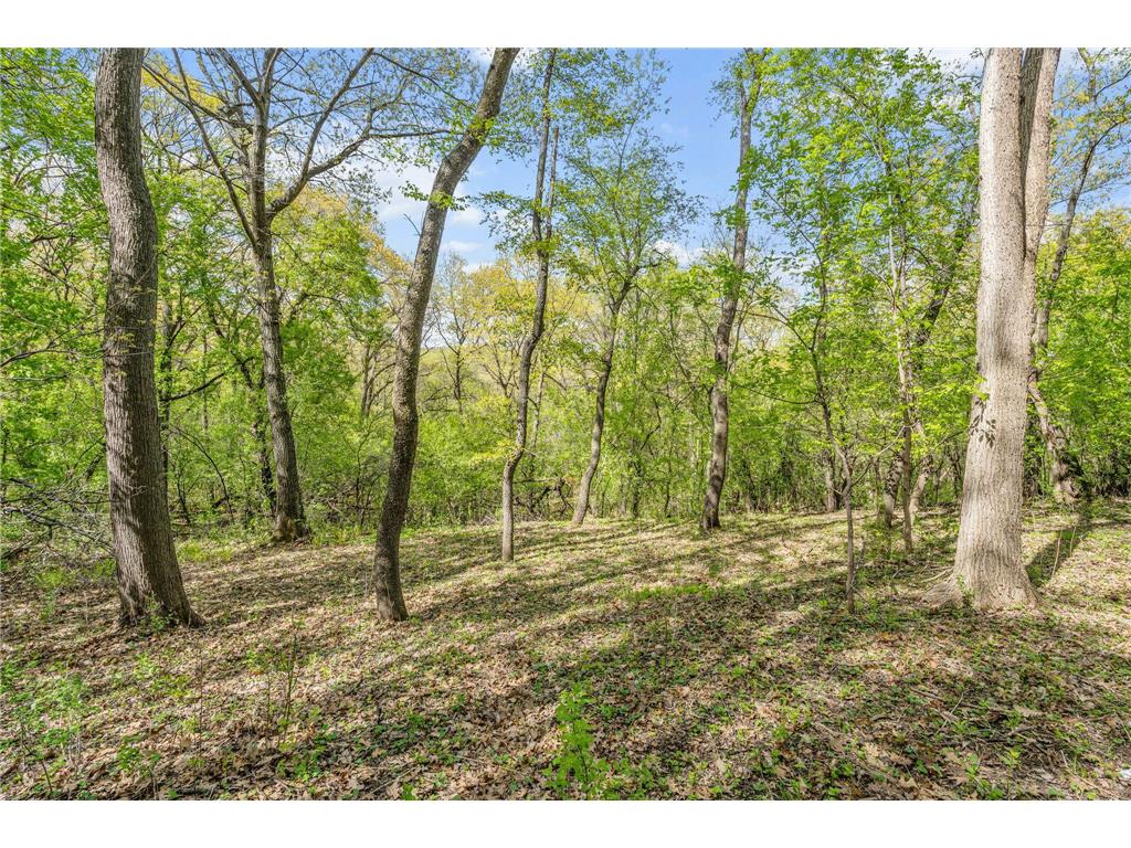 6708 W 82nd Street Bloomington MN 55438 7058802 image10