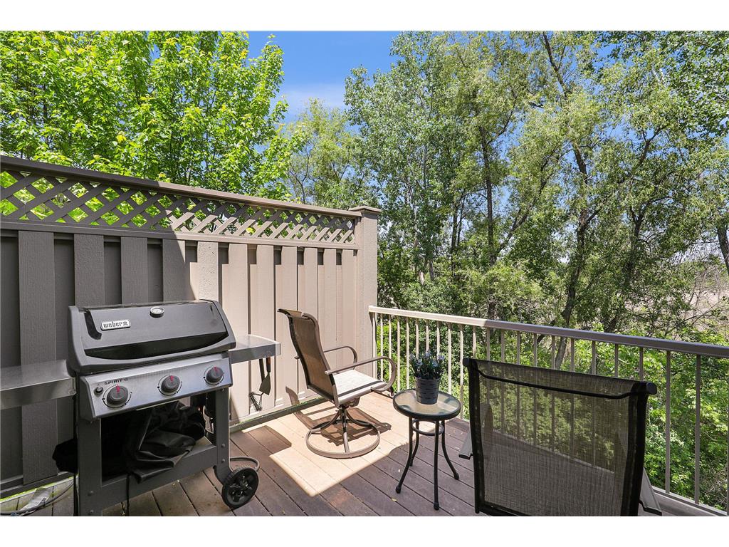 671 Willoughby Way E Minnetonka MN 55305 7075899 image17
