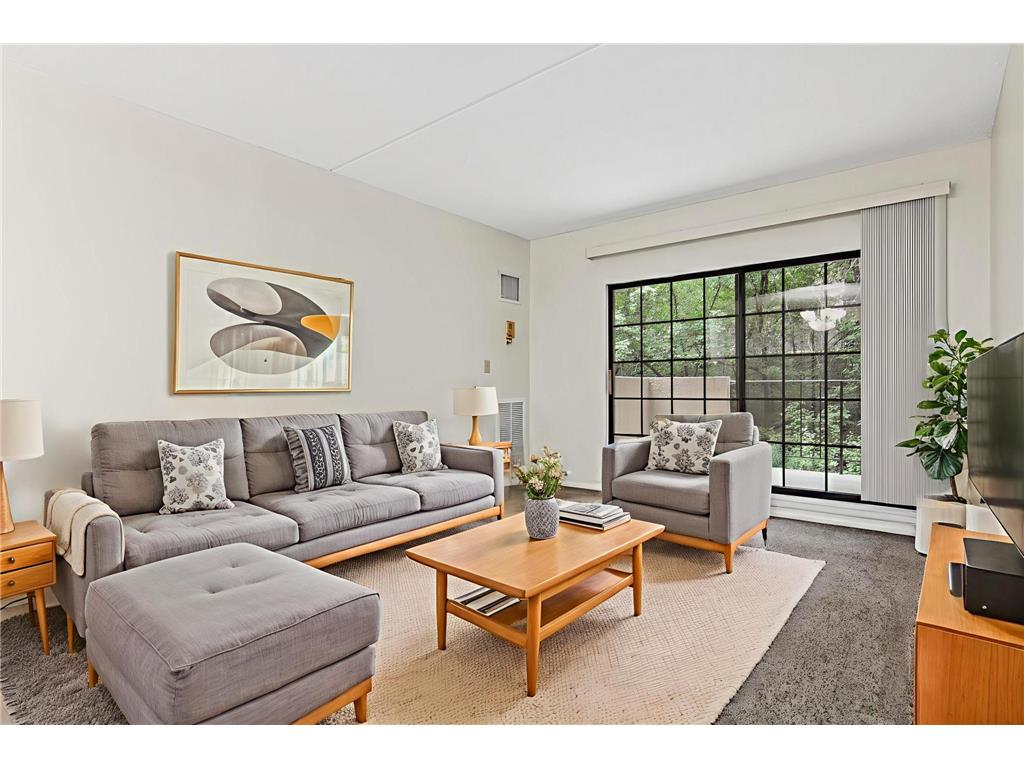 6710 Vernon Avenue S #107 Edina MN 55436 6771251 image1