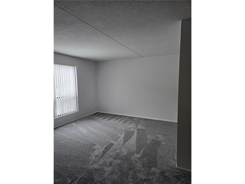 6710 Vernon Avenue S #209 Edina MN 55436 7011794 image6