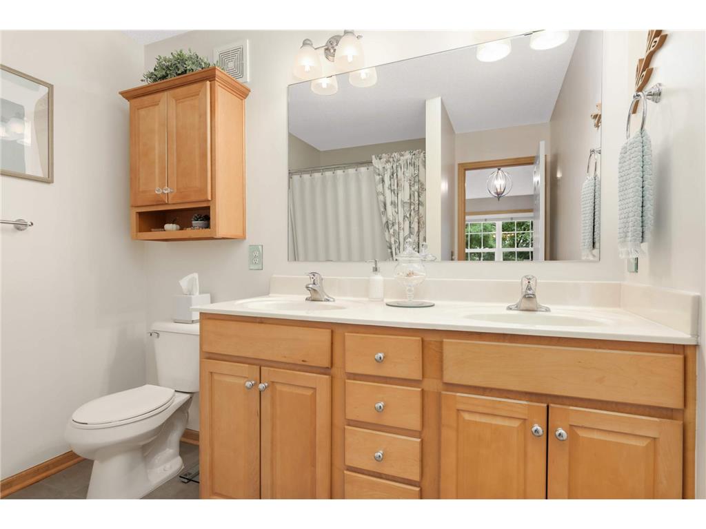 6714 Narcissus Lane N Maple Grove MN 55311 7039094 image19