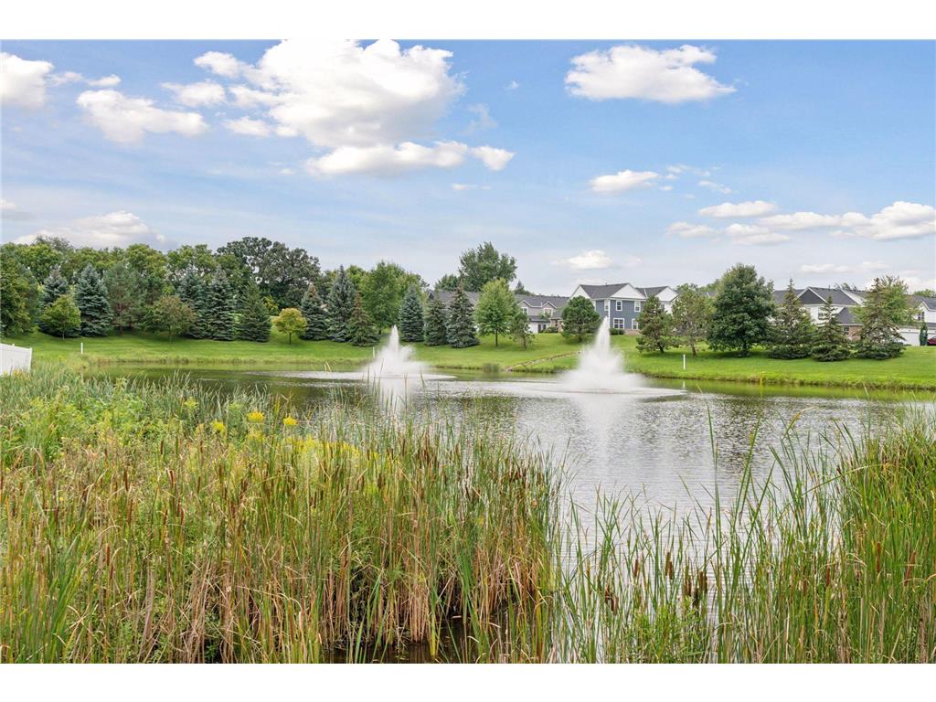 6714 Narcissus Lane N Maple Grove MN 55311 7039094 image29