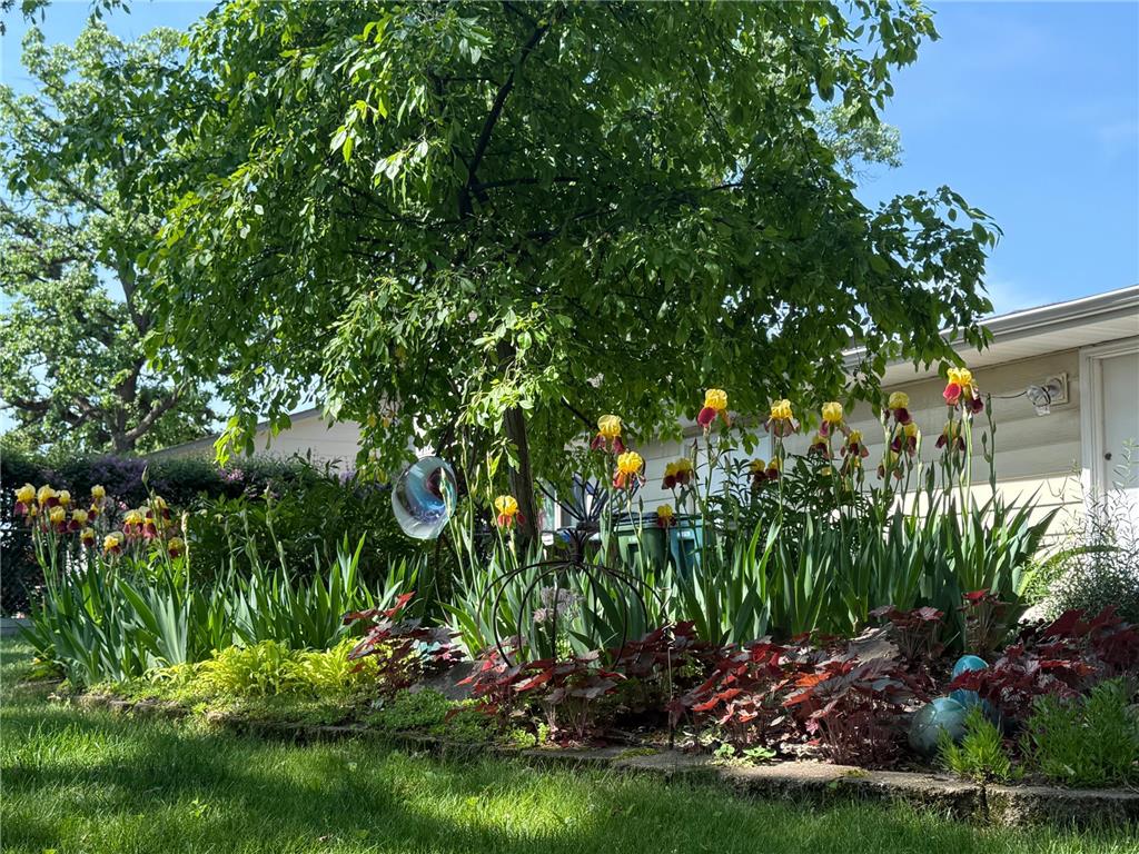 6715 Ashton Avenue NE Fridley MN 55432 - Locke 7092872 image28
