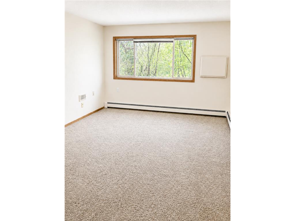 6717 Old Sawmill Road #101 Harris MN 55032 7006703 image1