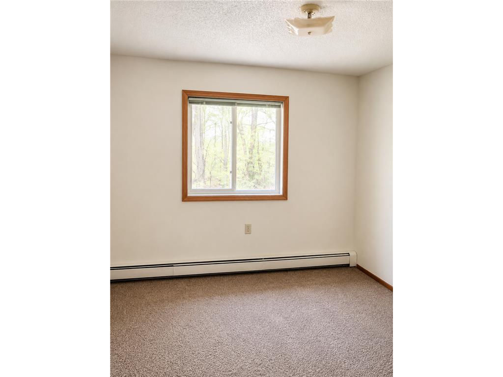 6717 Old Sawmill Road #101 Harris MN 55032 7006703 image4