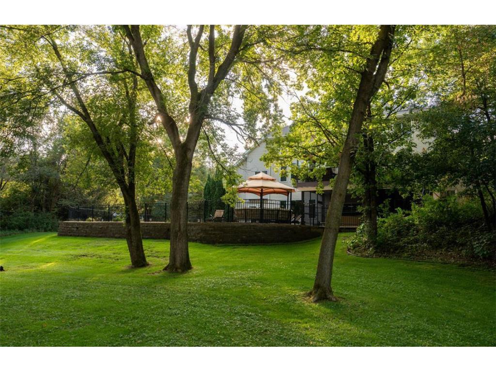 6720 Crackleberry Trail Woodbury MN 55129 6804733 image60