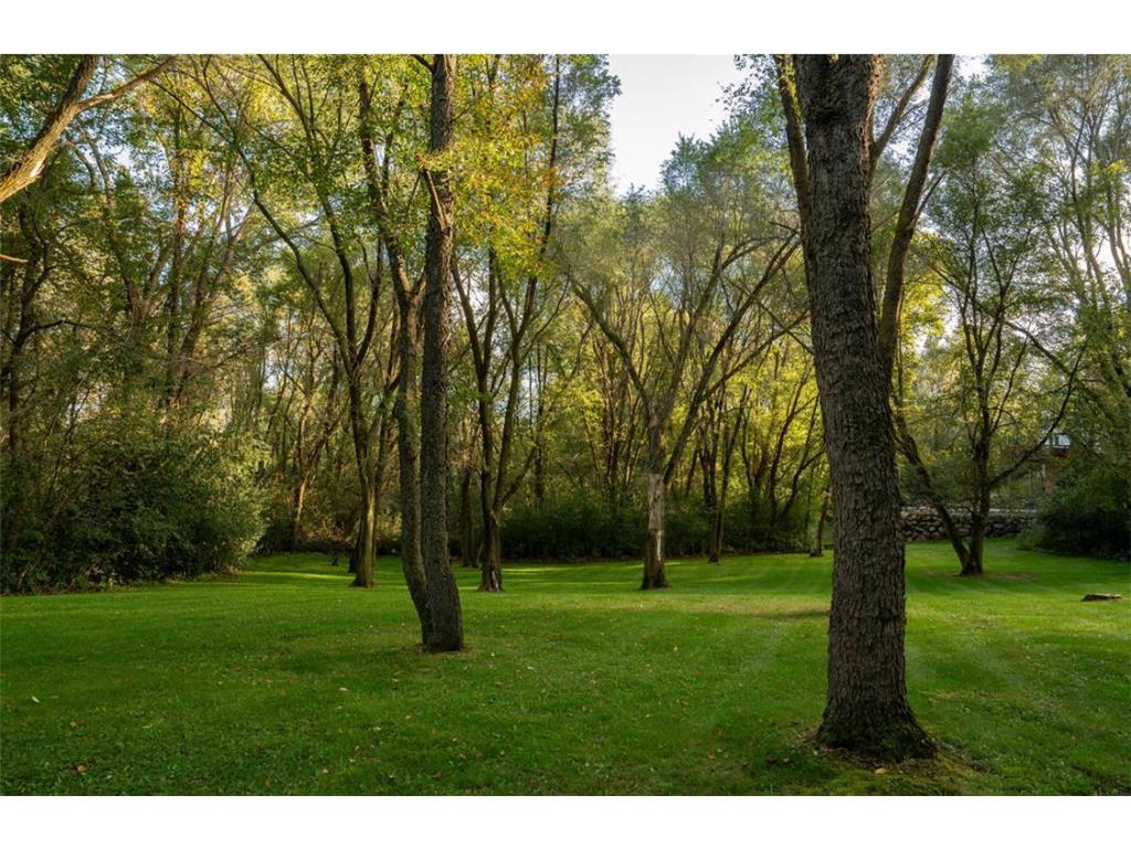 6720 Crackleberry Trail Woodbury MN 55129 6804733 image61