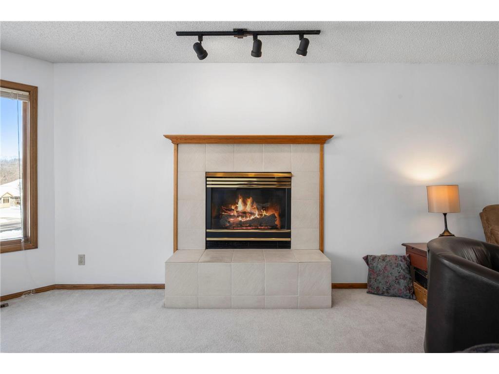 6724 Timber Crest Drive Maple Grove MN 55311 7035994 image10