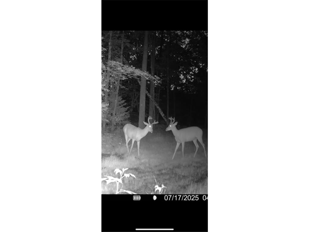 67246 340th Avenue Hill City MN 55748 7013767 image14