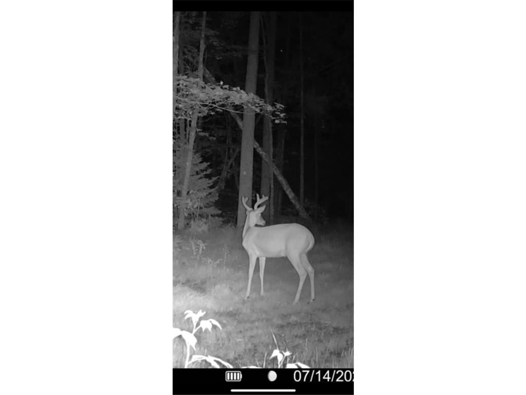 67246 340th Avenue Hill City MN 55748 7013767 image16