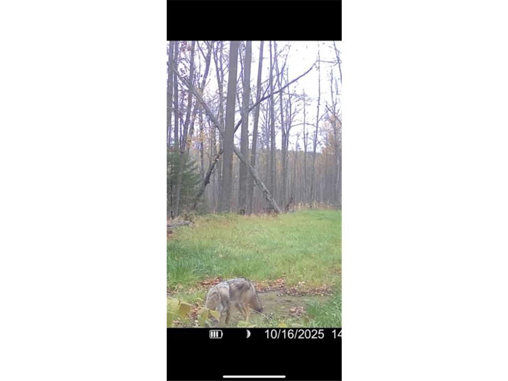 67246 340th Avenue Hill City MN 55748 7013767 image18