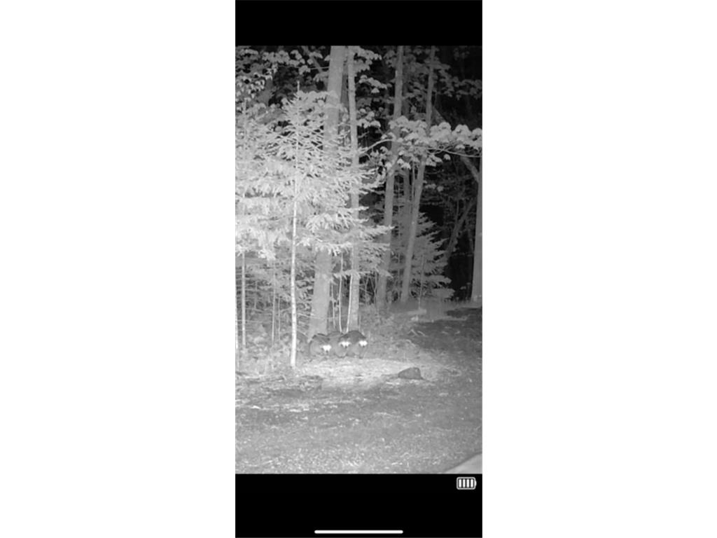 67246 340th Avenue Hill City MN 55748 7013767 image19