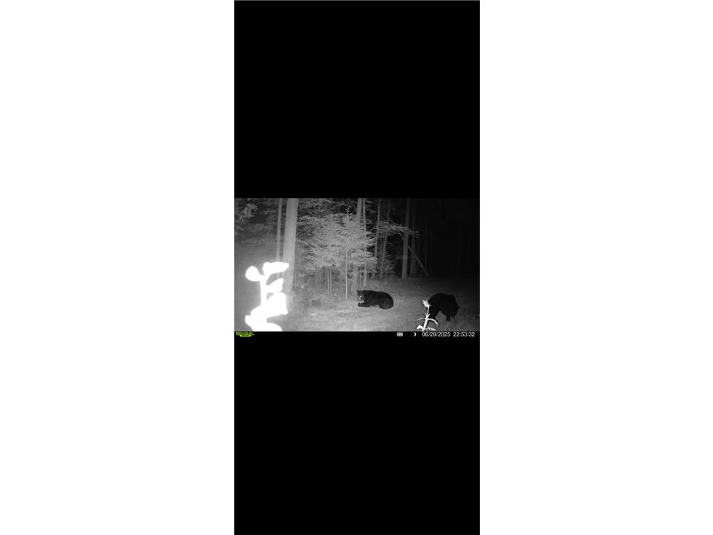 67246 340th Avenue Hill City MN 55748 7013767 image21