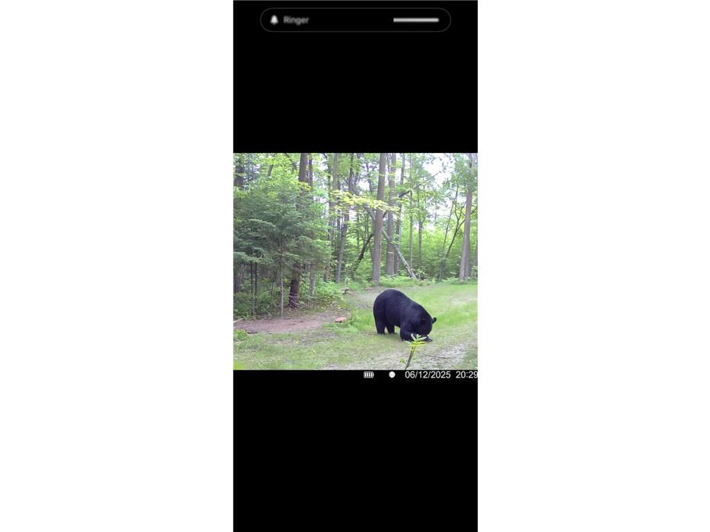 67246 340th Avenue Hill City MN 55748 7013767 image22