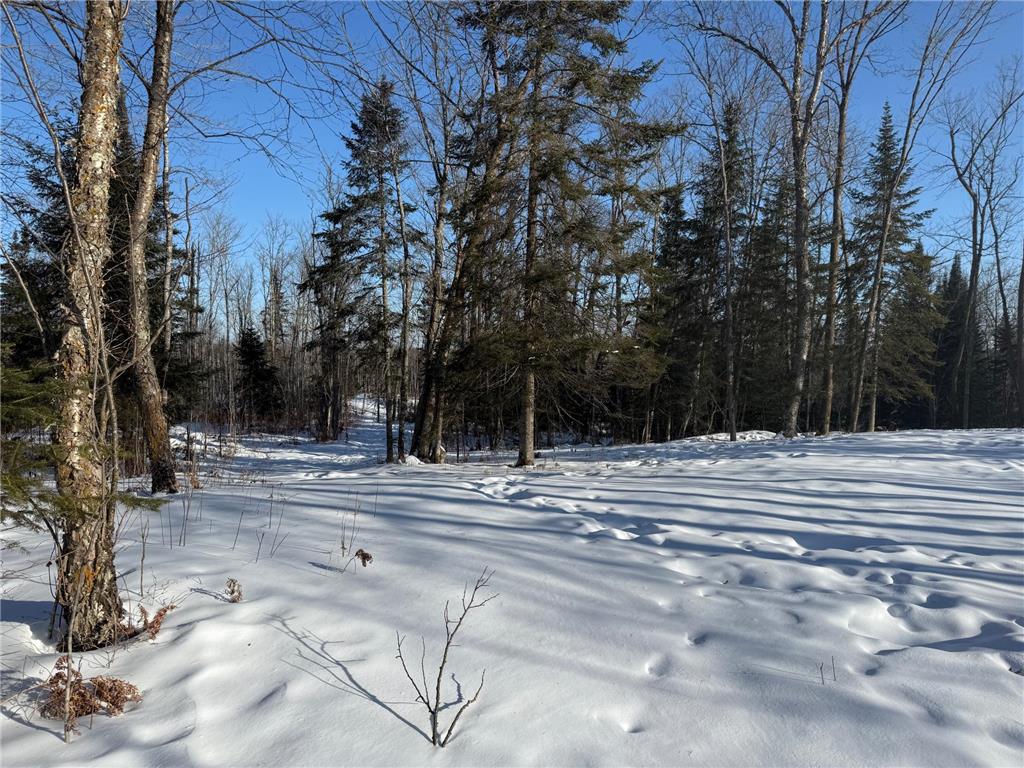 67246 340th Avenue Hill City MN 55748 7013767 image9