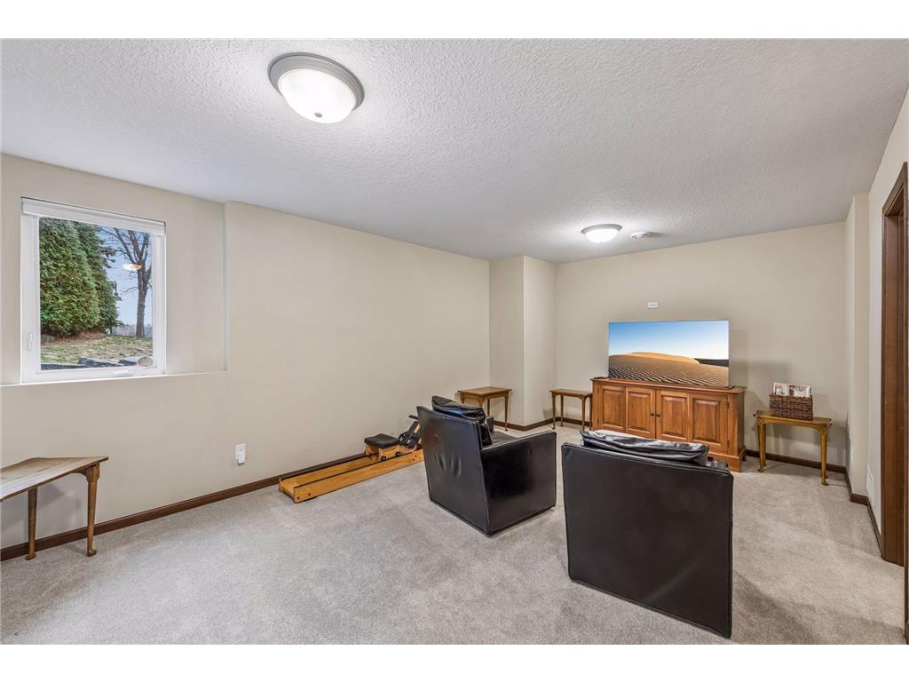 673 Sandstone Circle Orono MN 55356 7048498 image40