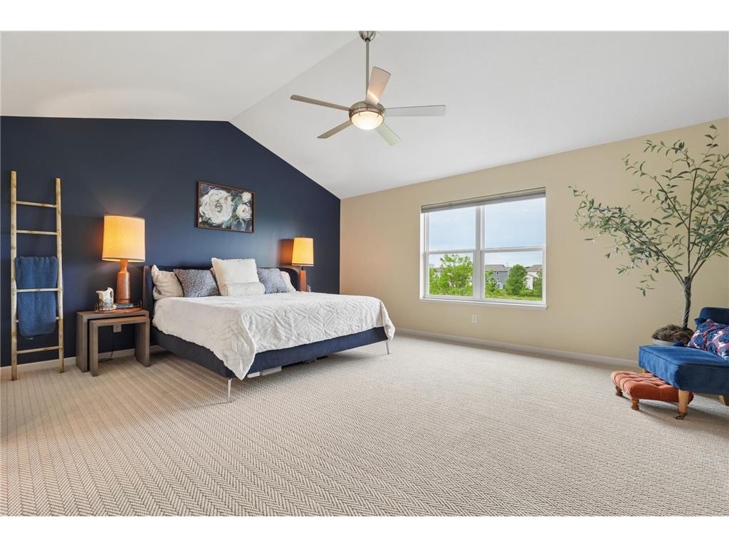 6730 Joliet Avenue S Cottage Grove MN 55016 7074504 image10