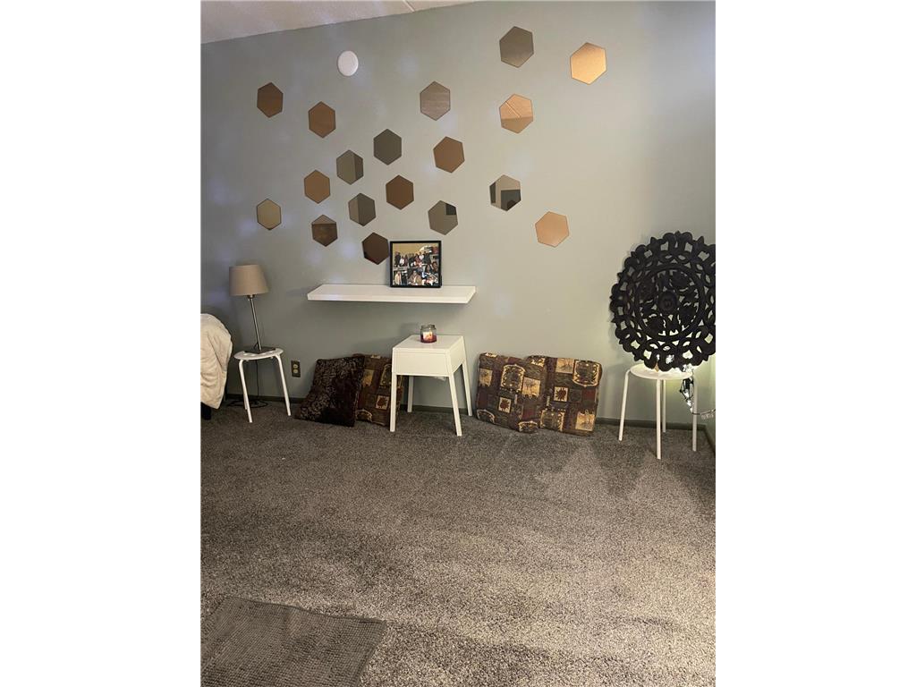 6730 Vernon Ave S #402 Edina MN 55436 7006252 image15