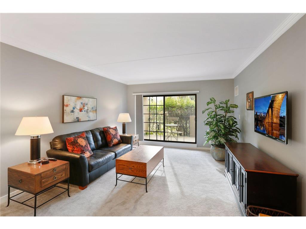 6730 Vernon Avenue S #105 Edina MN 55436 6814946 image4